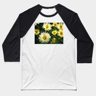 Daisy Flower Patch waking to the Morning Sunlight Baseball T-Shirt